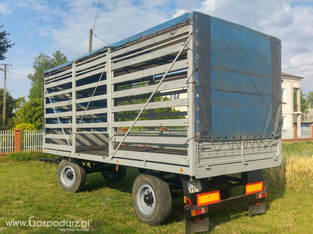 Przyczepa ZASŁAW D665 6ton 5