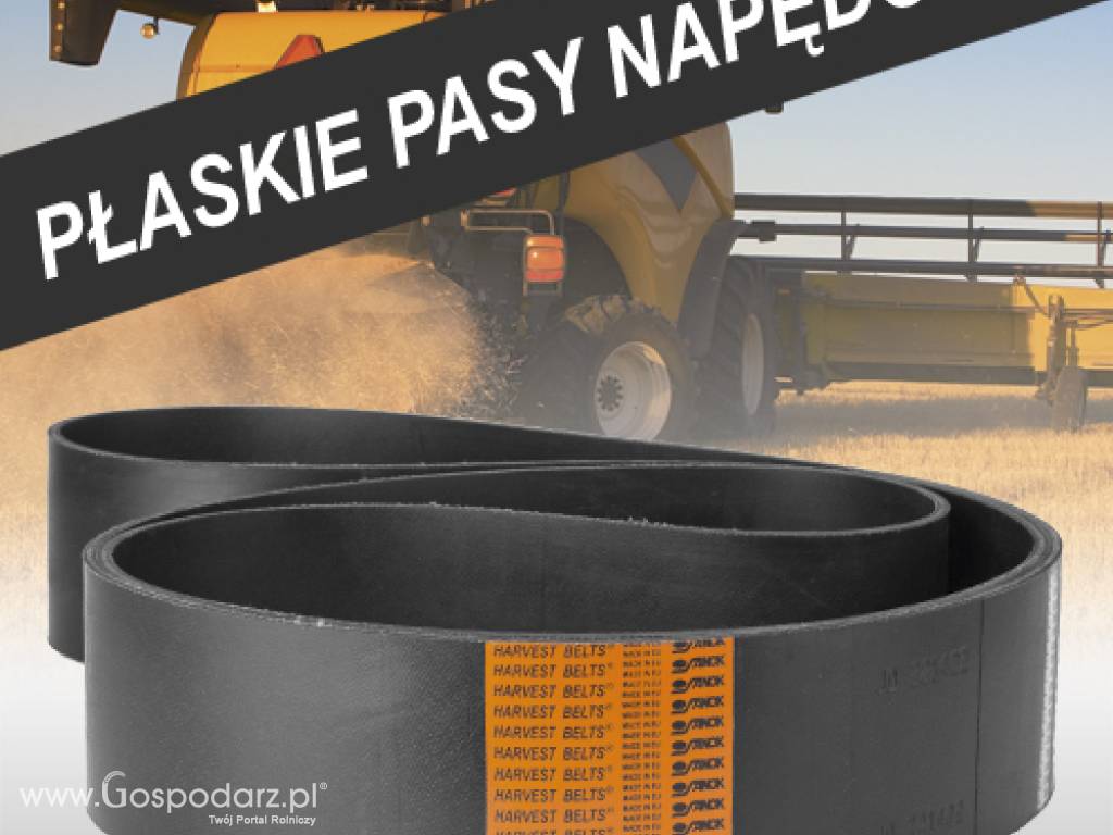 Płaskie pasy napędowe
