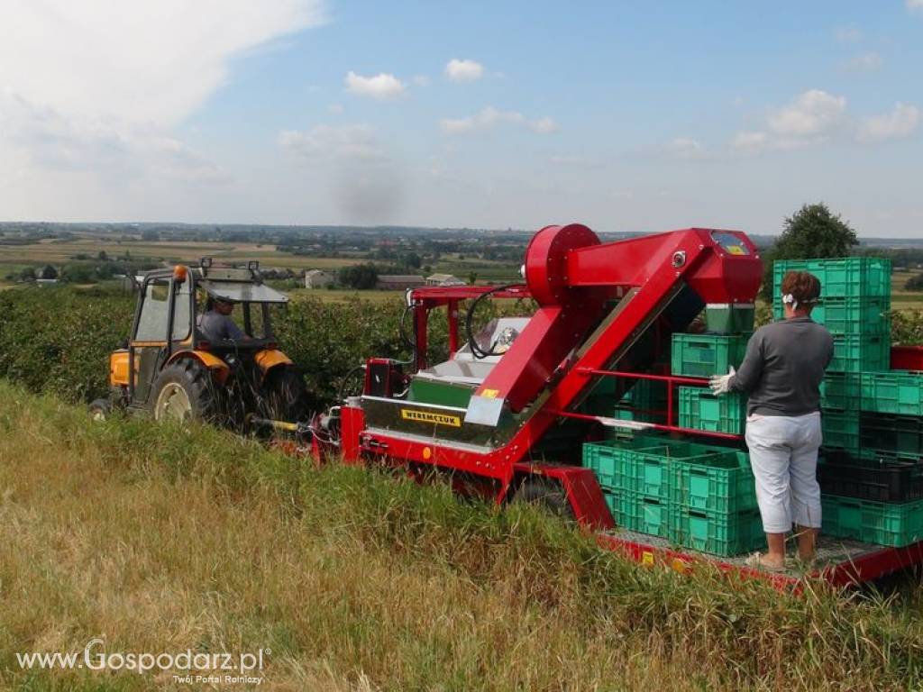 Kombajn JOANNA-4 do zbioru owoców 3