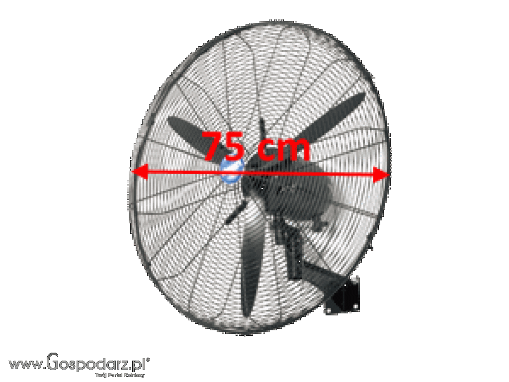 Wentylator przemysłowy FDE75 WL 750 mm 250W