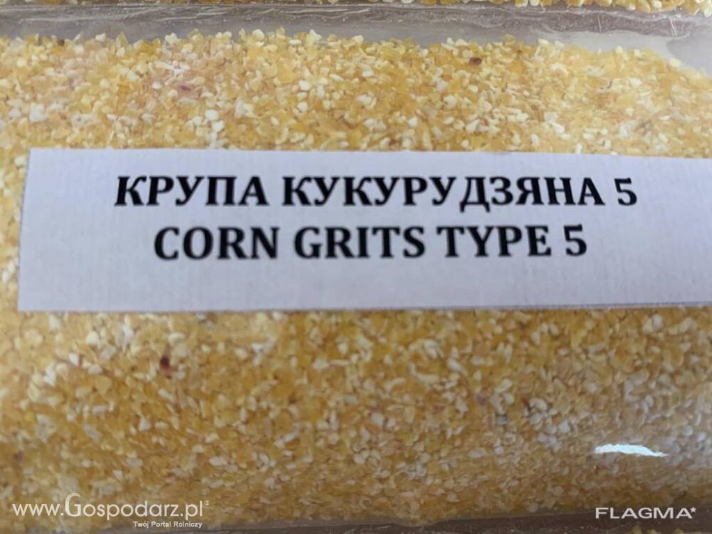 kasza kukurydziana,grys kukurydziany,kaszka kukurydziana 4