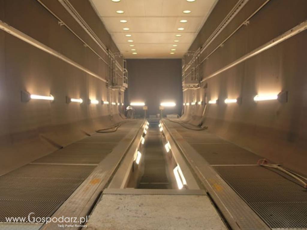 Konstrukcje stalowe - usługi