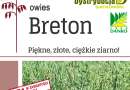 Kwalifikowane nasiona siewne owies Breton C/1