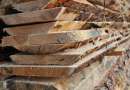 Drewnotar – Zakład Przerobu Drewna