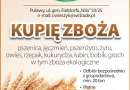 skup zboża: pszenicy, pszenżyta , owsa, jęczmienia, żyta