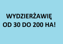 Wydzierżawię grunt rolny 30-200 ha