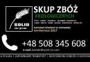 SKUP ZBÓŻ EKOLOGICZNYCH