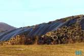 Folia rolnicza SILOFLEX