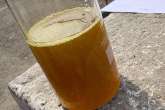 Olej rzepakowy nierafinowany do 300 PPM