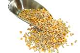 Kälber Corn Mix - mieszanka paszowa pełnoporcjowa dla cieląt z całym ziarnem kukurydzy