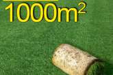 Trawa z rolki, trawa rolowana Premium II 1000 m2najlepsza trawa w rolce, darń w rolce