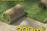 Trawa z rolki, trawa rolowana UŻYTKOWA 300m2użytkowa trawa rolowana, darń w rolce