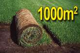 Trawa z rolki, trawa rolowana KRAJOBRAZOWA 1000m2uniwersalna trawa w rolce, darń w rolce