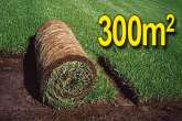 Trawa z rolki, trawa rolowana KRAJOBRAZOWA 300m2uniwersalna trawa w rolce, darń w rolce