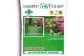 Trawa, nasiona trawy SUPER RENO masa: 5kg, mieszanka do uzupełniania uszkodzonych trawników Rolimpex
