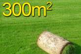 Trawa z rolki PREMIUM 300m2najlepsza trawa w rolce, darń w rolce, DARMOWA WYSYŁKA