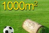 Trawa z rolki, trawa rolowana SPORTOWA 1000m2trawa z rolki na boiska sportowe, darń w rolce