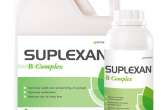 Suplexan B Complex witaminy B, niacyna, wzmocnienie