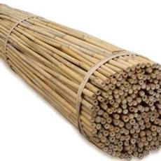 Tyczki bambusowe pełna oferta