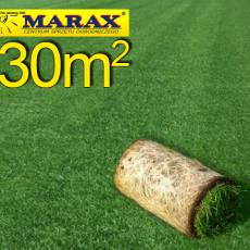 Trawa z rolki, trawa rolowana Premium II 30 m2najlepsza trawa w rolce, darń w rolce, DARMOWA WYSYŁKA
