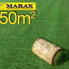Trawa z rolki, trawa rolowana Premium II 50 m2najlepsza trawa w rolce, darń w rolce, DARMOWA WYSYŁKA
