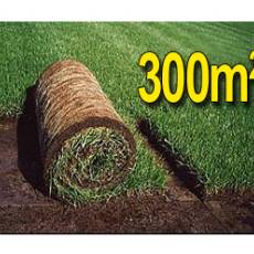 Trawa z rolki, trawa rolowana KRAJOBRAZOWA 300m2uniwersalna trawa w rolce, darń w rolce