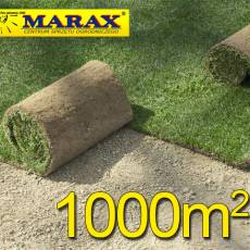 Trawa z rolki, trawa rolowana UŻYTKOWA 1000m2użytkowa trawa rolowana, darń w rolce