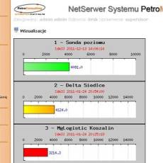 System zdalnego zarządzania stacją paliw PetroManager NET