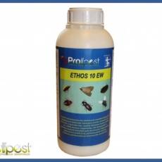 Ethos10 EW