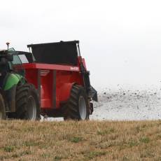 Optium seria T- Skrzynia wąska z platformą roztrząsającą