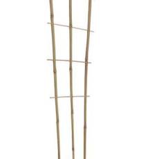 Drabinki,podpory bambusowe pełna oferta