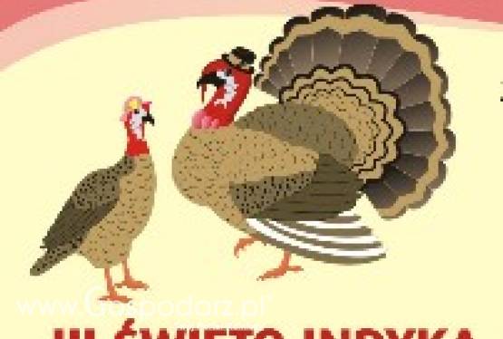 Święto Indyka w Ostródzie