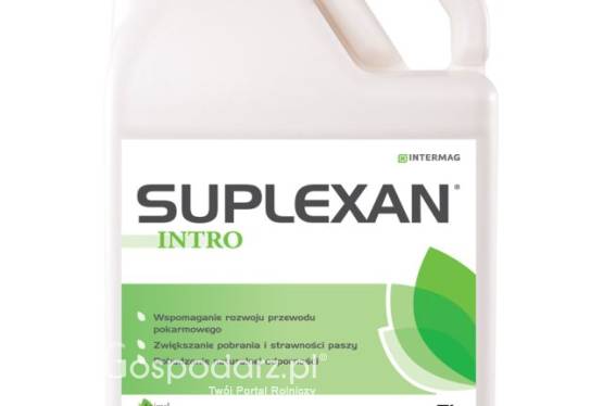 Suplexan Intro na pobudzenie wzrostu, wzrost masy