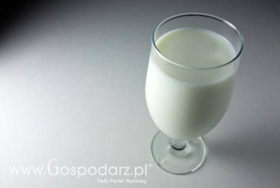 Rada Ministrów Rolnictwa i Rybołówstwa UE w Luksemburgu, polski wniosek w sprawie podjęcia interwencji na rynku mleka