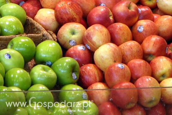 Statuetka Pro Polonia Opulenta dla Agencji Rynku Rolnego!