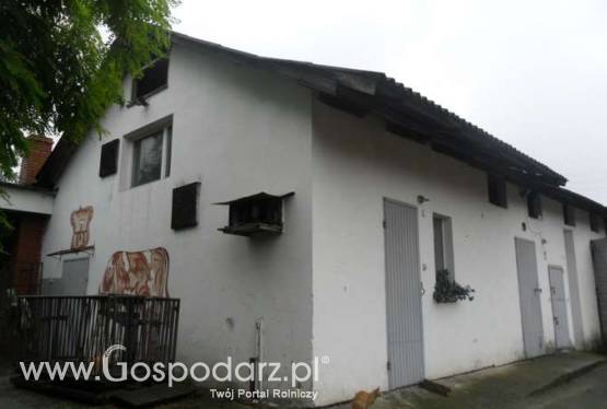 zabudowania gospodarcze