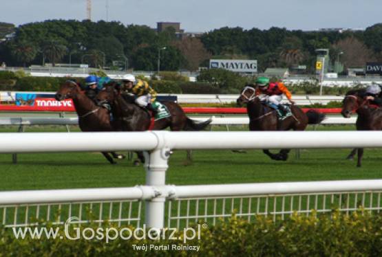 Wyścig o Nagrodę Ministra Rolnictwa i Rozwoju Wsi