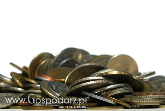 10 czerwca mija ostateczny termin na złożenie wniosków o przyznanie dopłat bezpośrednich za 2011 r.