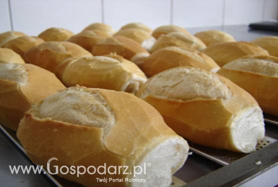 IX Warszawskie Święta Chleba