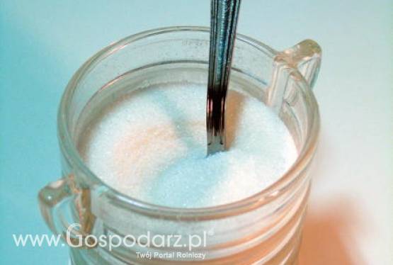 Spore osłabienie popytu przyczyniło się do pojawienia się nadwyżki na rynku cukru