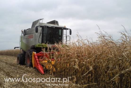 Adapter do kukurydzy EMH 5