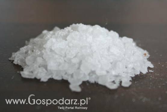 Ocena użycia soli wypadowej w produkcji żywności