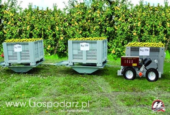 Platformy na powierzchnie płaskie ORSI Eco Pick