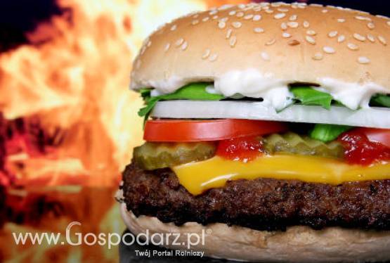 Pierwszy hamburger z probówki już w tym roku