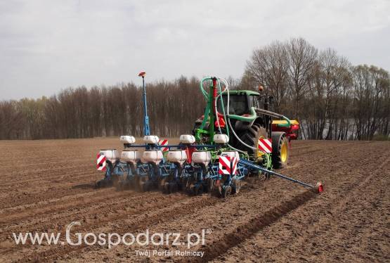 Siew bezorkowy Strip - Till (uprawa pasowa) buraków, kukurydzy, rzepaku