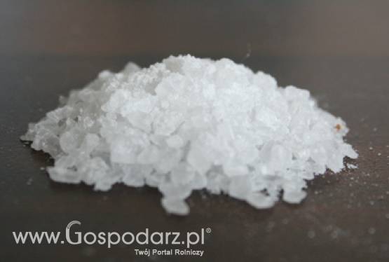 Spotkanie polsko-czeskie