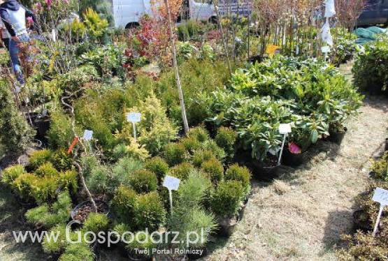 XII Targi Rolno-Ogrodnicze Przygodzice 2011