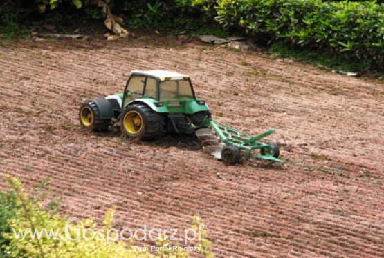 Czynsz dzierżawny w I kw. 2011 r.