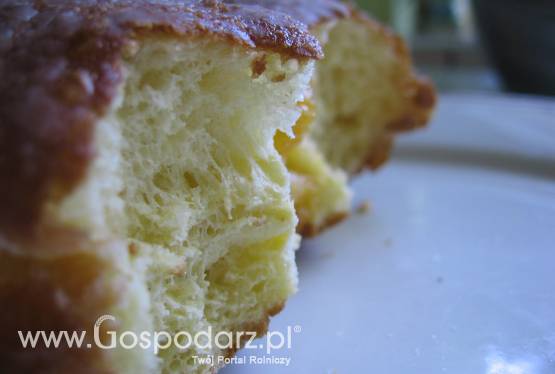 Konkurs w jedzeniu pączków