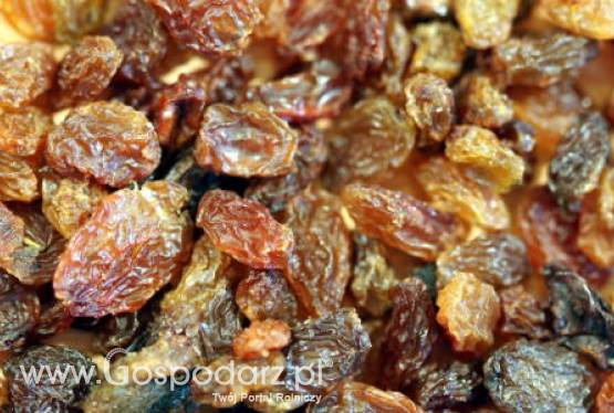 Turcja – Rynek rodzynek